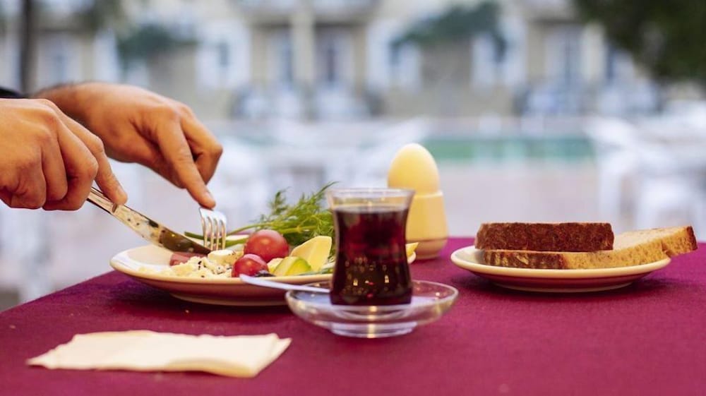 Samdan Termal Otel 26/47