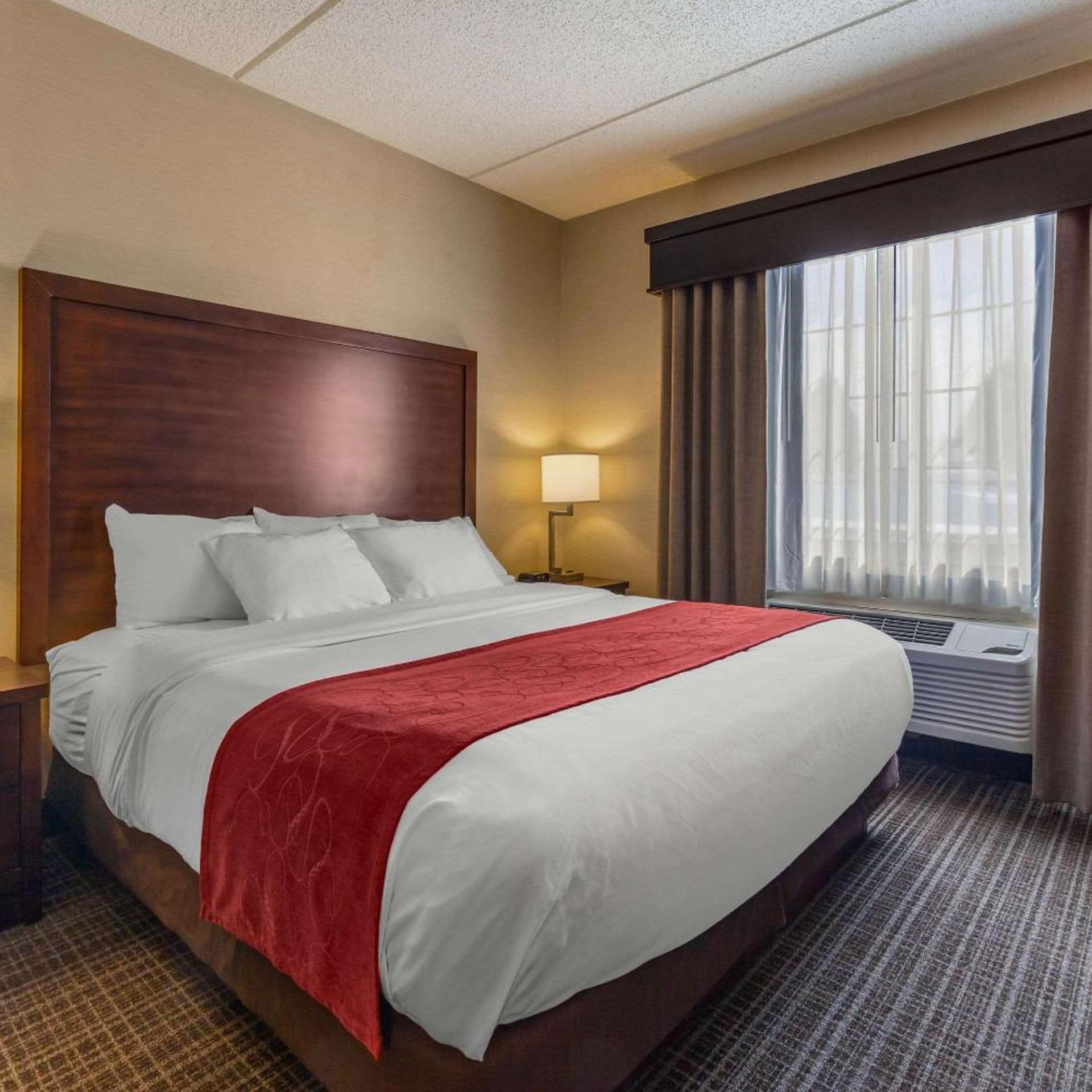 Suite, King Bed, Bathtub, Accessible