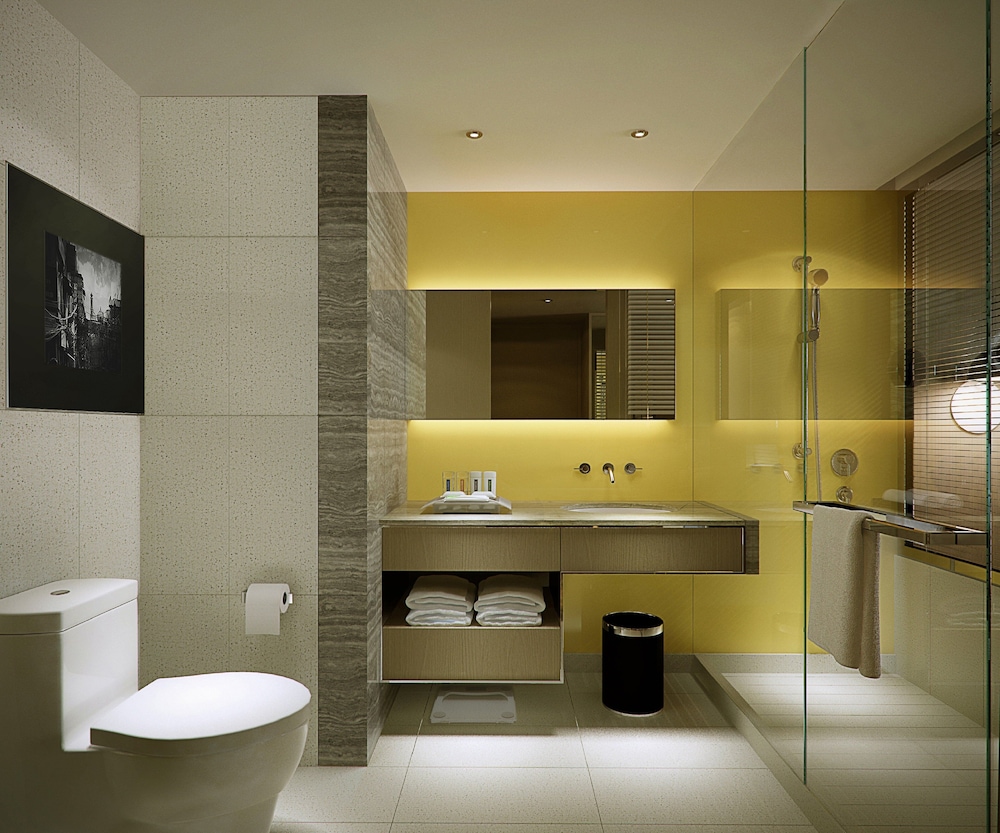 Holiday Inn New Delhi Aerocity by IHG 32/79