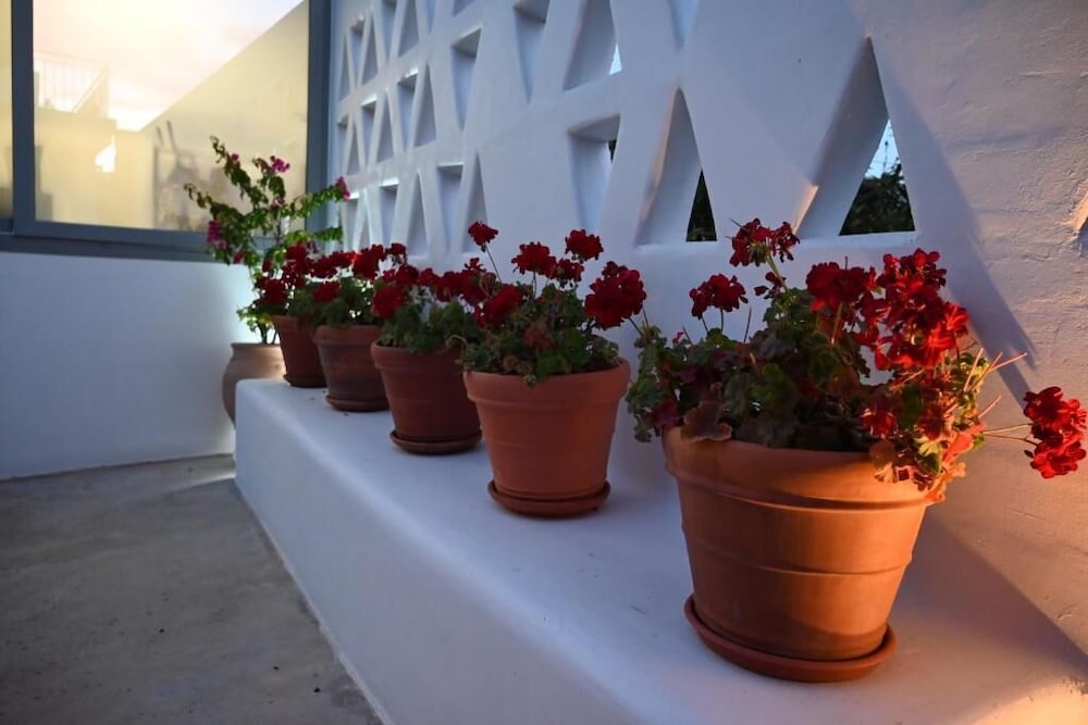 Agorastos Boutique Hotel 23/50