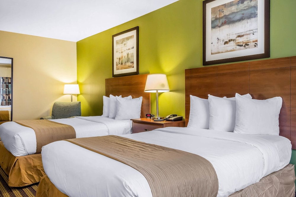 Quality Inn Flamingo 15/40