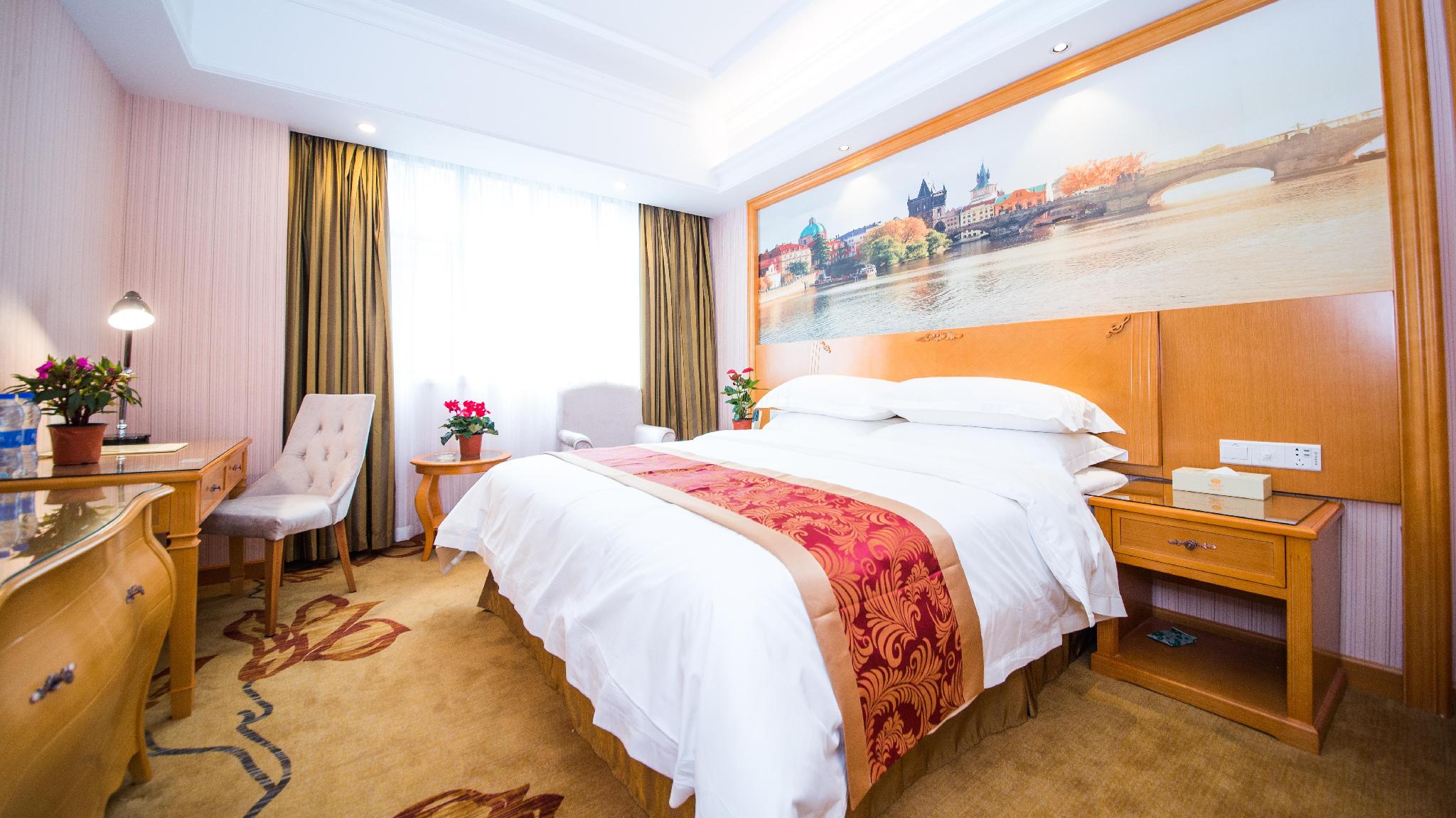 Vienna Hotel (Wuhan Lingjiaohu Wanda Metro Station) 43/54