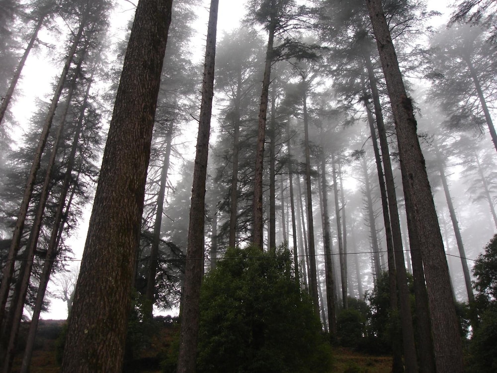 Honeymoon Inn Mussoorie 4/42