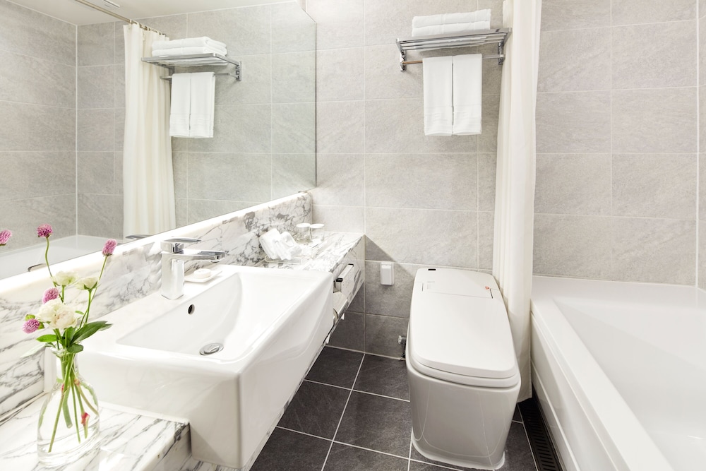 Hotel Pj Myeong Dong 48/50