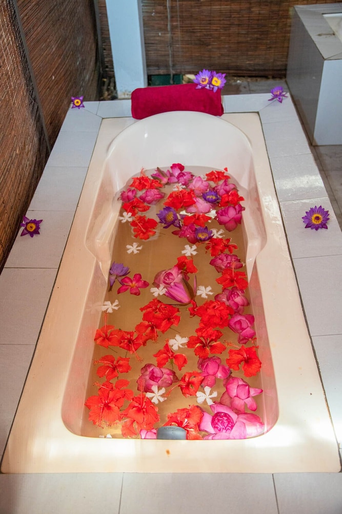 Ocean Of Life Ayurvedic Resort photo4
