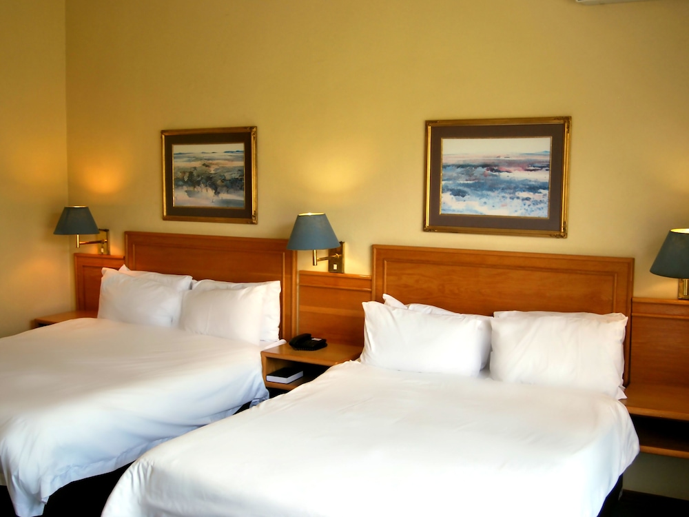 SAFARI LODGE HOTEL & CONVENTION CENTRE 8/50