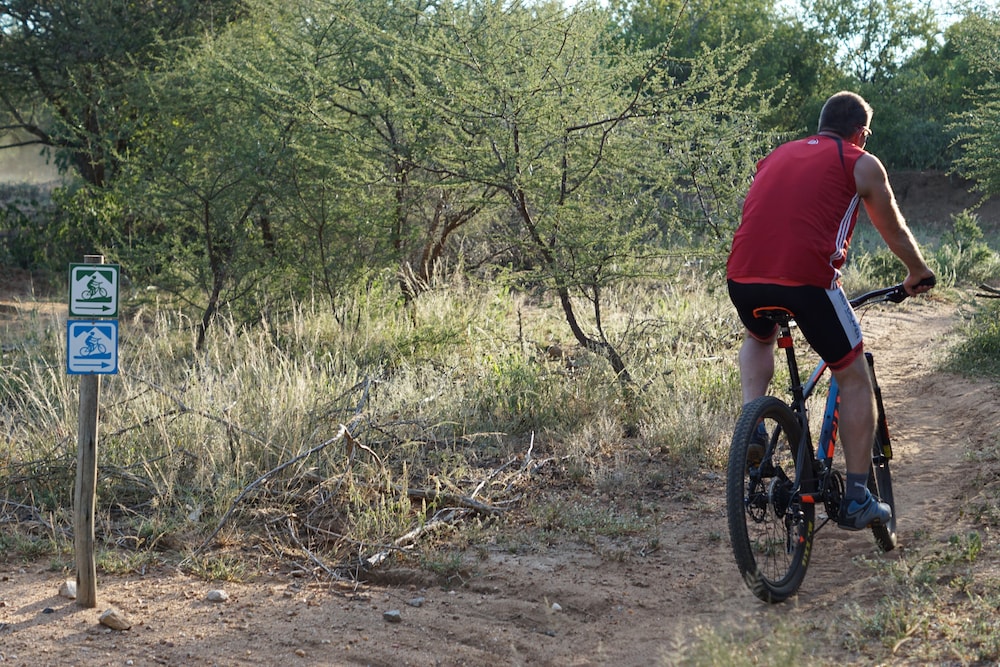 Bushbaby River Lodge 33/59