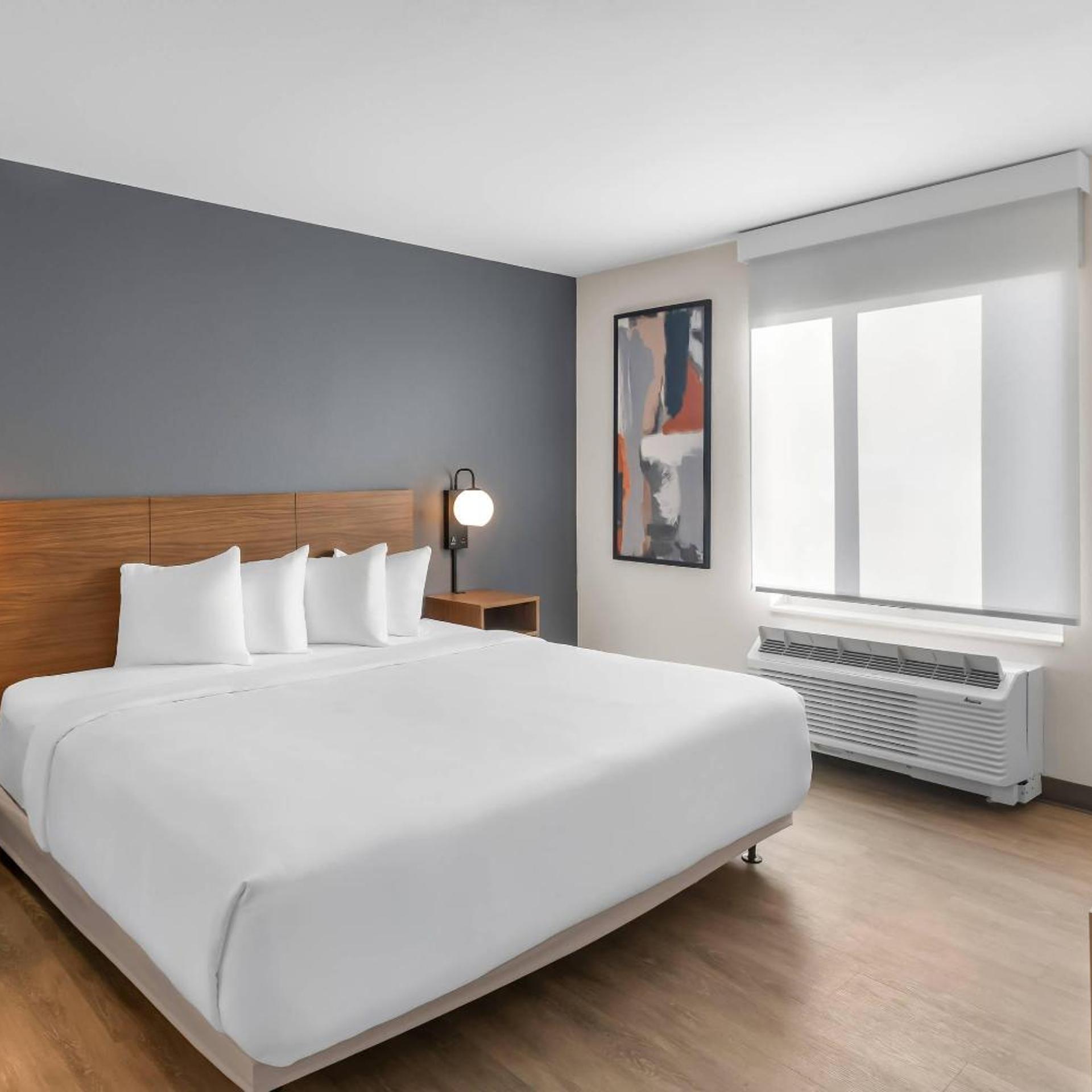 Room, King Bed, Sofa