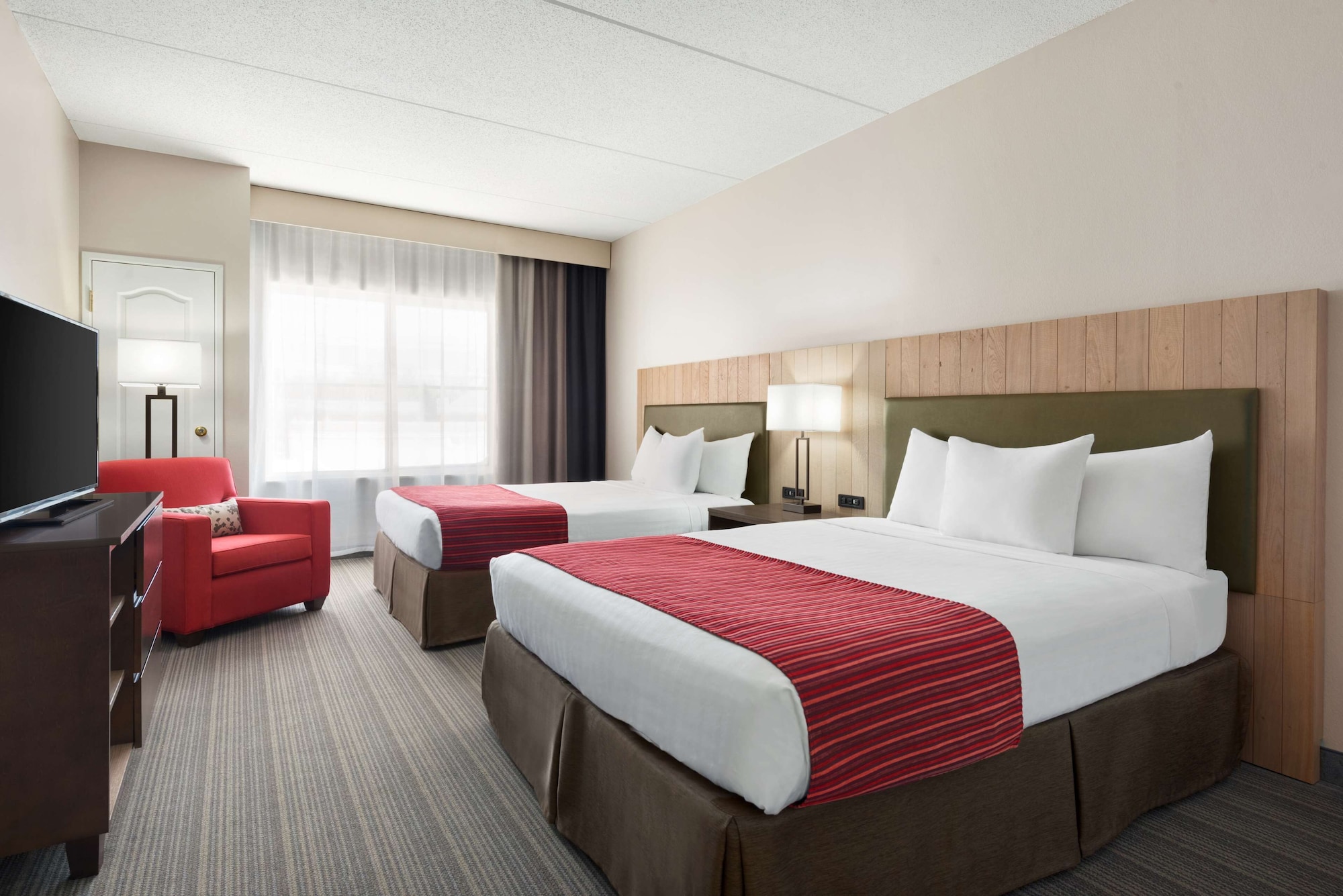Studio, Suite, King Bed, Sofa
