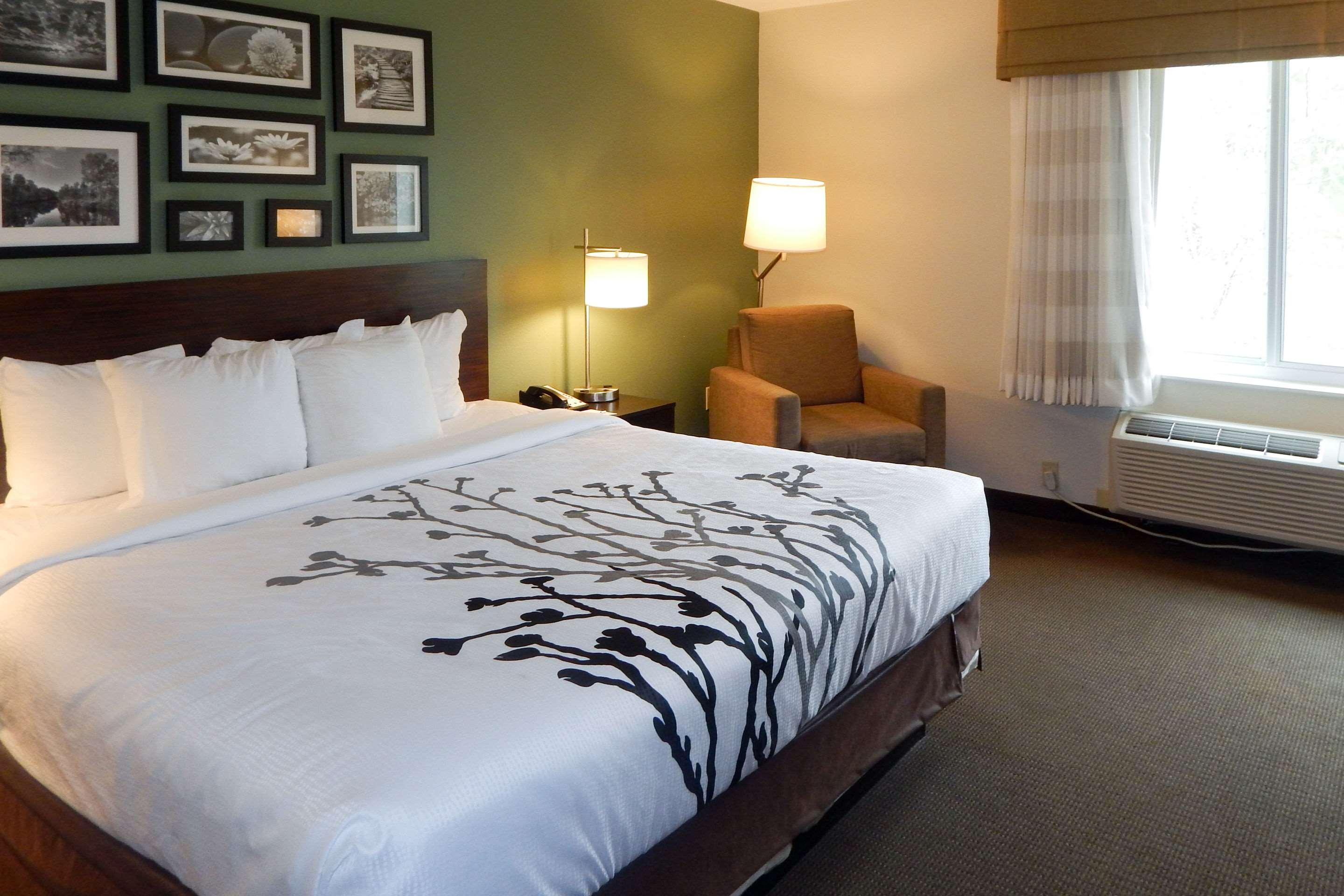 Room, King Bed, Accessible