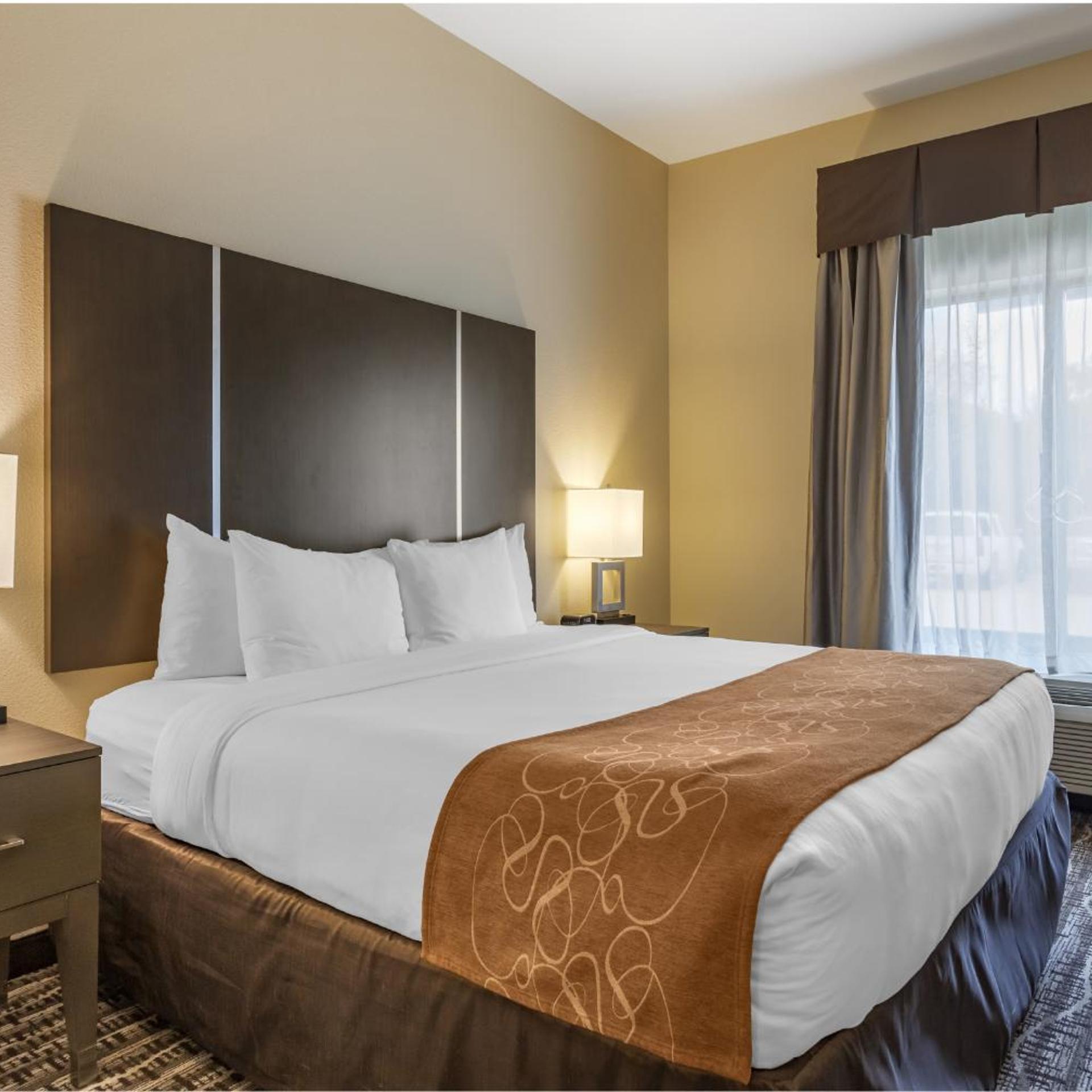 SUITE, KING BED