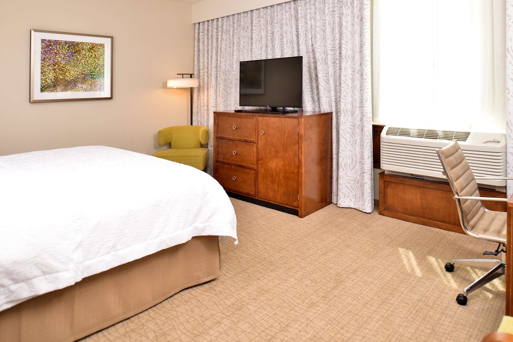 Hampton Inn Suites Orlando Downtown South Medical Center 21/46