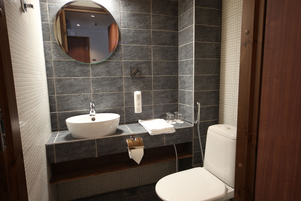 Levi Hotel Spa 23/67