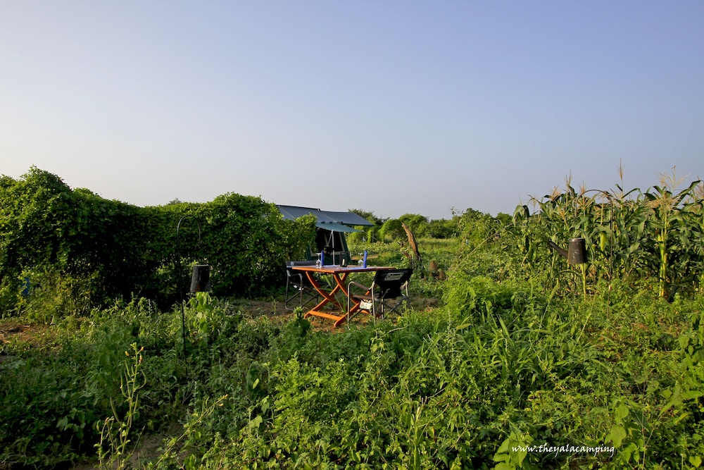 The Yala Camping 31/32