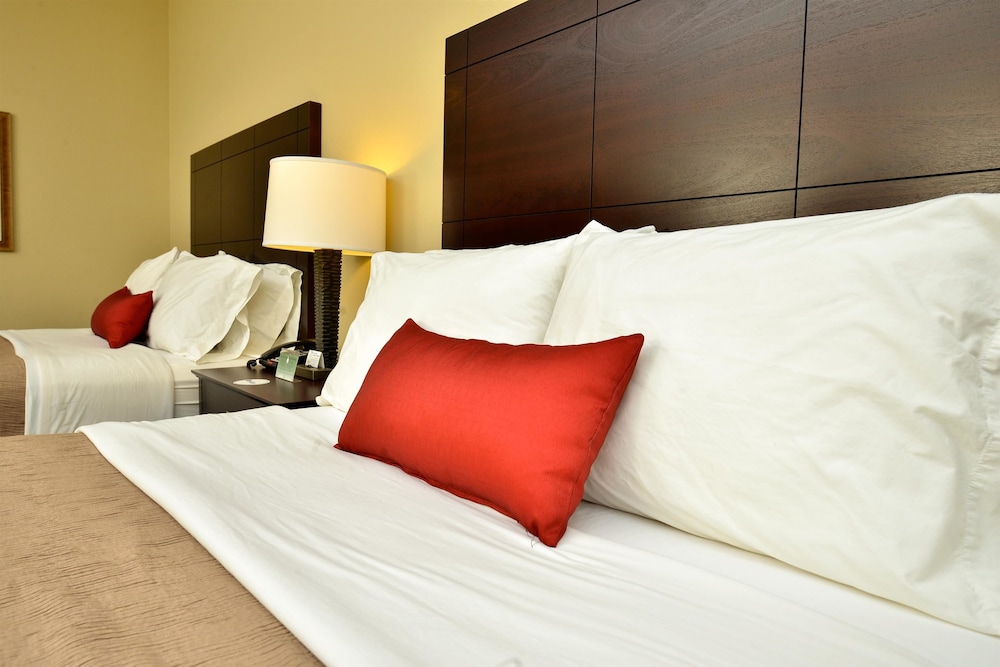 Best Western Plus Louisa 11/40