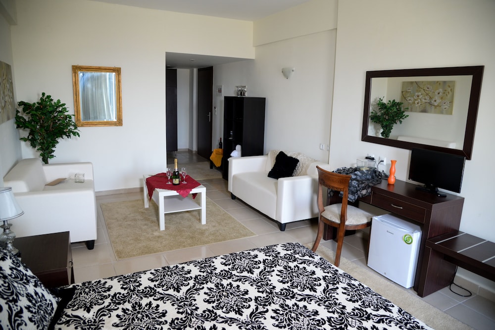 Arta Palace Hotel 35/52