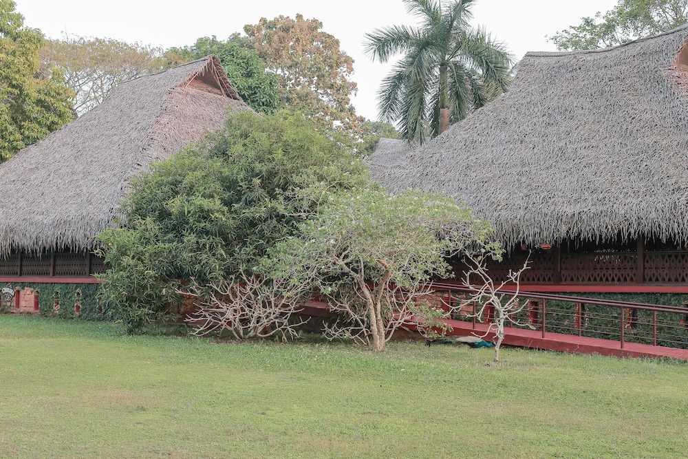 Marari Beach a CGH Earth Experience 39/50