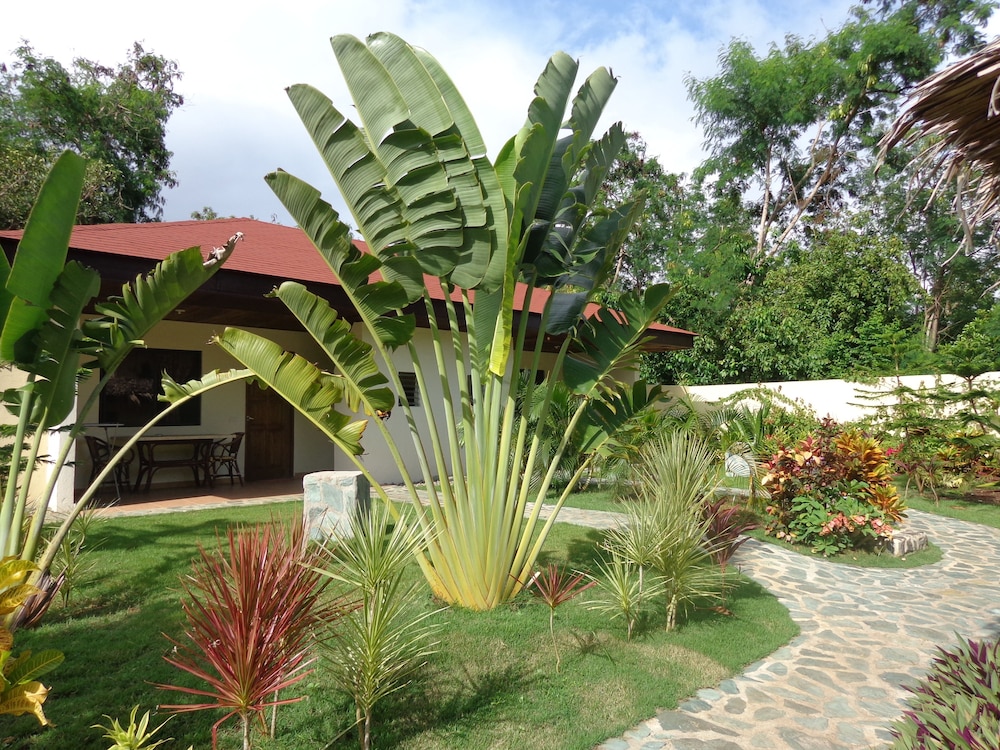 Alona Swiss Resort 50/60