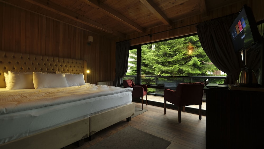 Villa De Pelit Hotel 17/50