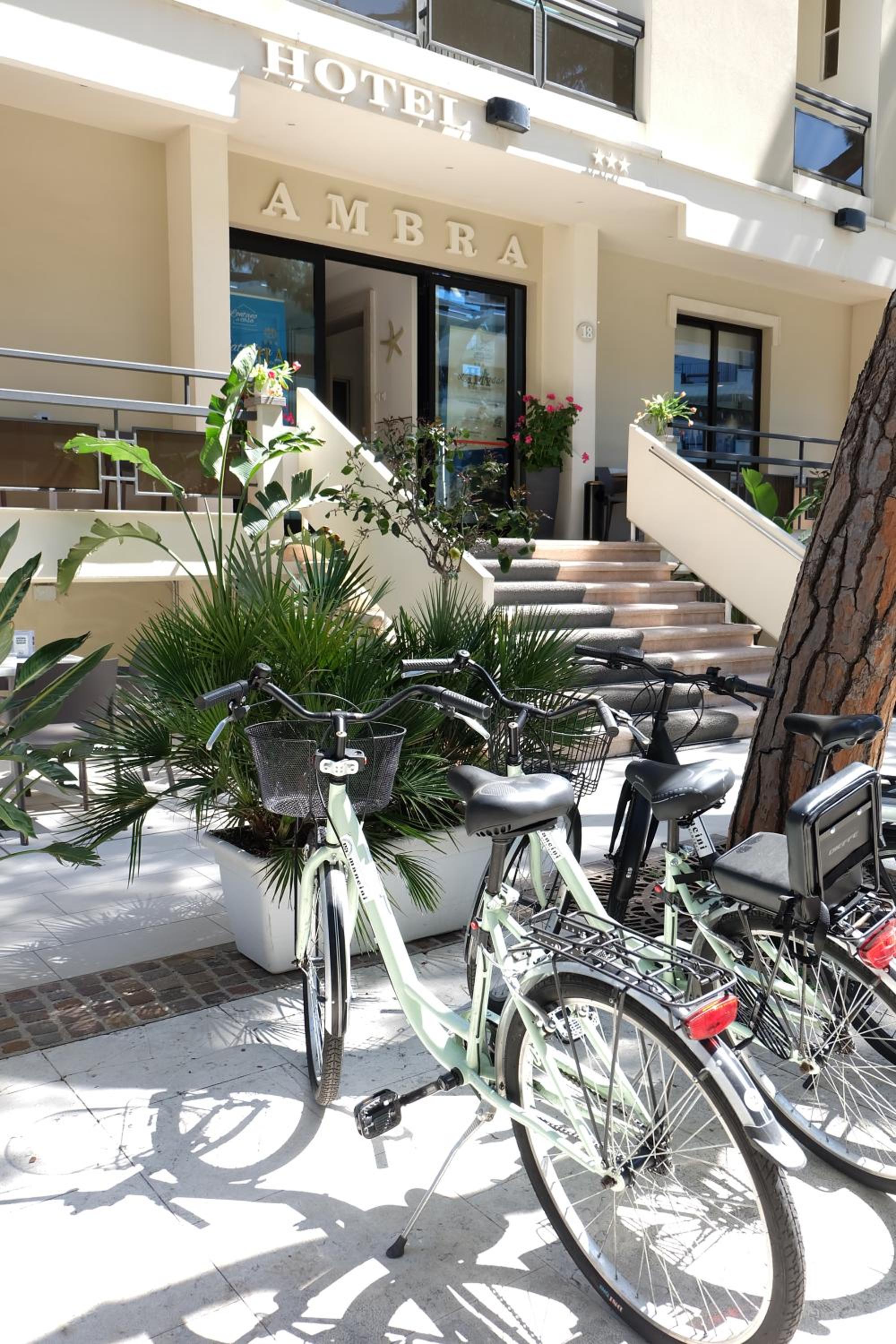 Ambra Hotel Cattolica 1/50