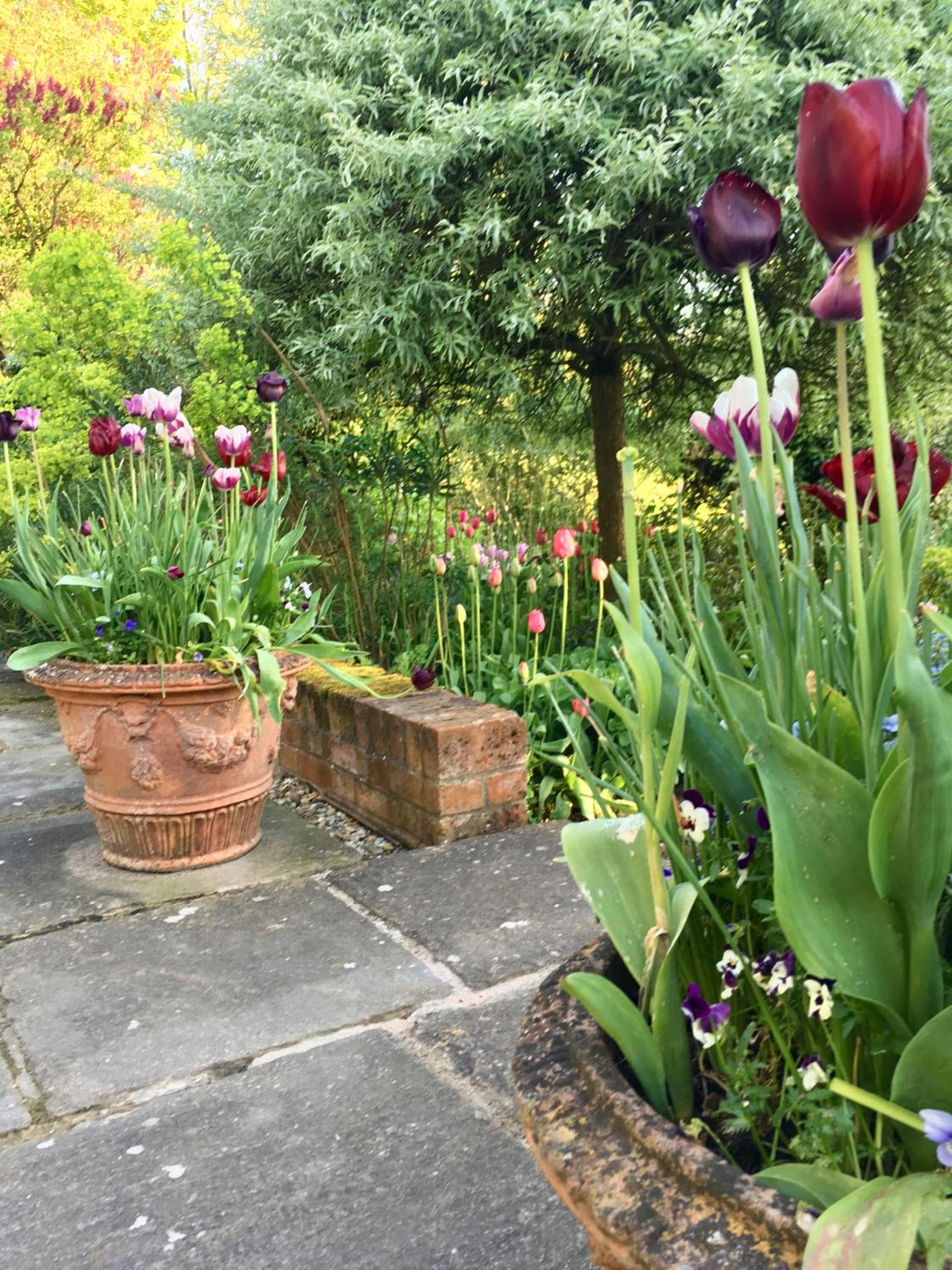 The Old Rectory Kettlebaston 14/18