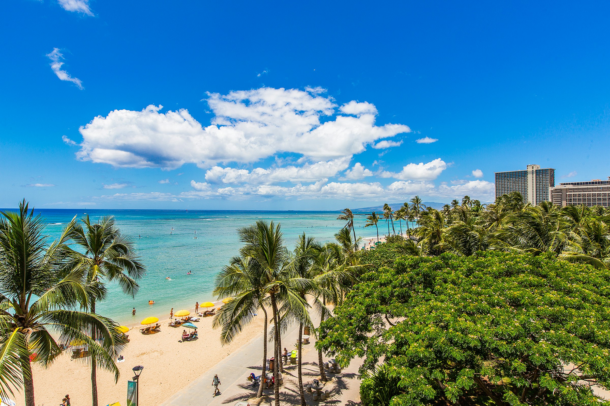 Castle Waikiki Shore 51/61