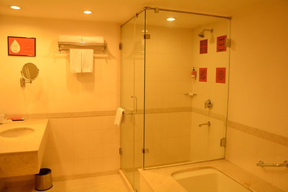 Red Fox Hotel Jaipur 20/55