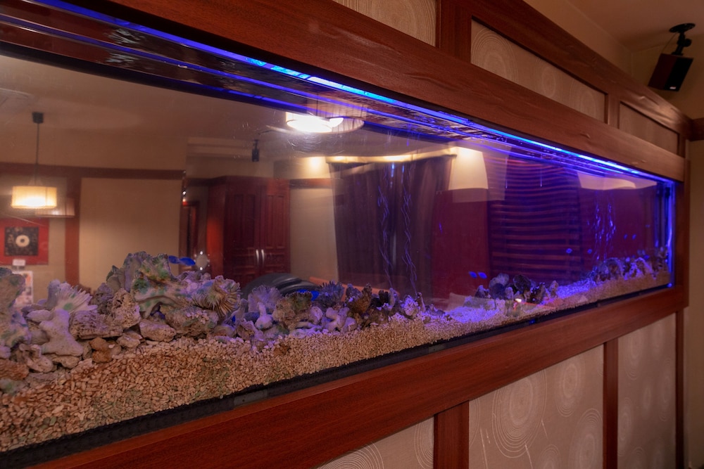 Hotel Spa Lotus Adults Only 28/44
