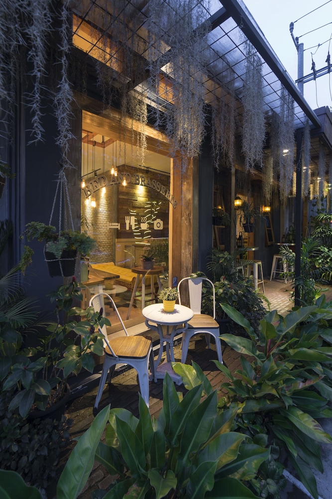 Summerbird - Bed And Brasserie 7/63