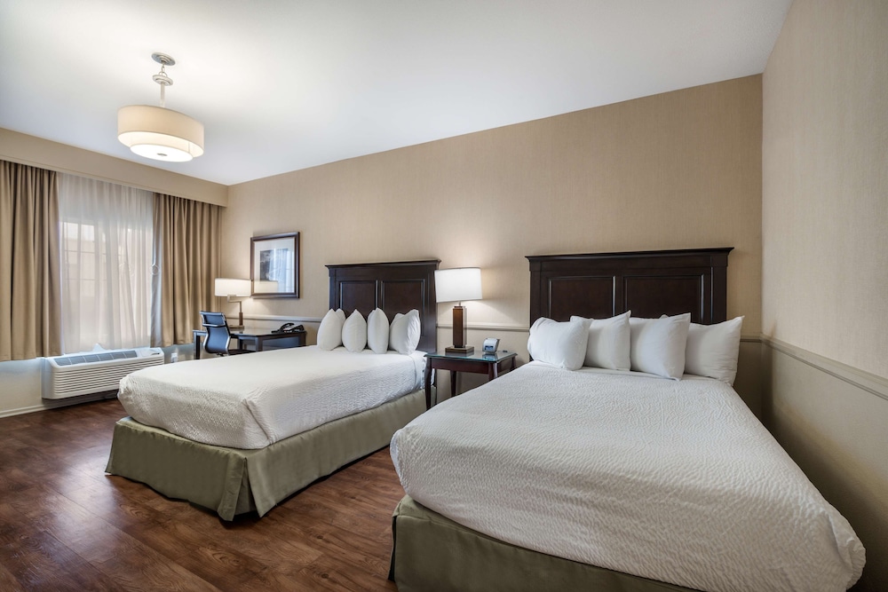 Standard, 2 Double Beds, Accessible