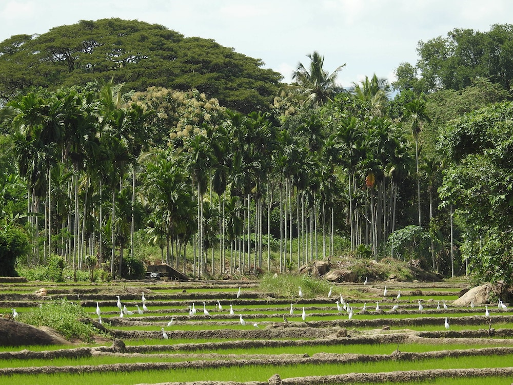 Jetwing Kaduruketha 29/45