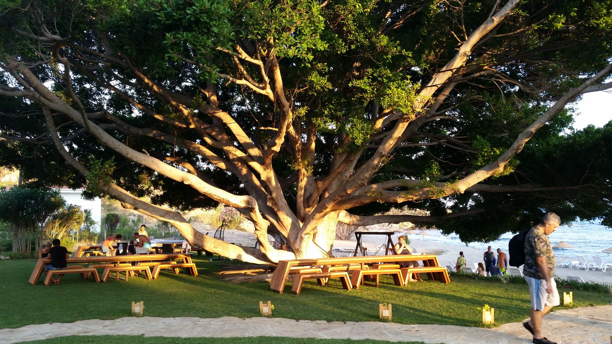 Marvel Tree Hotel 31/36