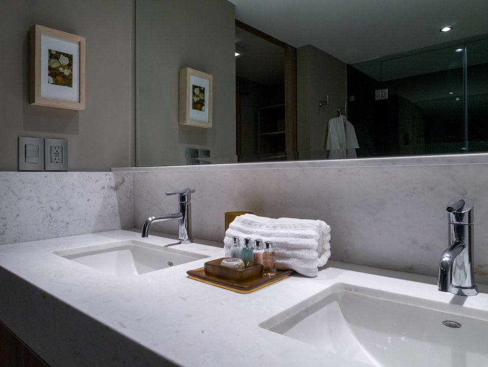 Dominion Polanco Ex Dominion Corporate Suites 46/50