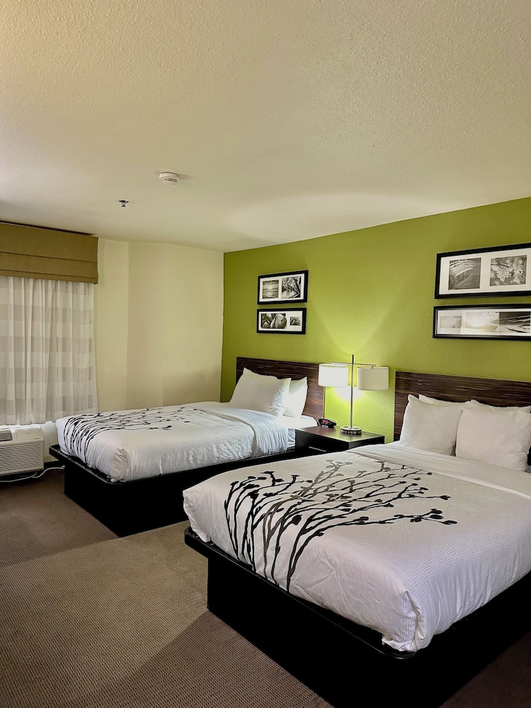 Standard, 2 Double Beds