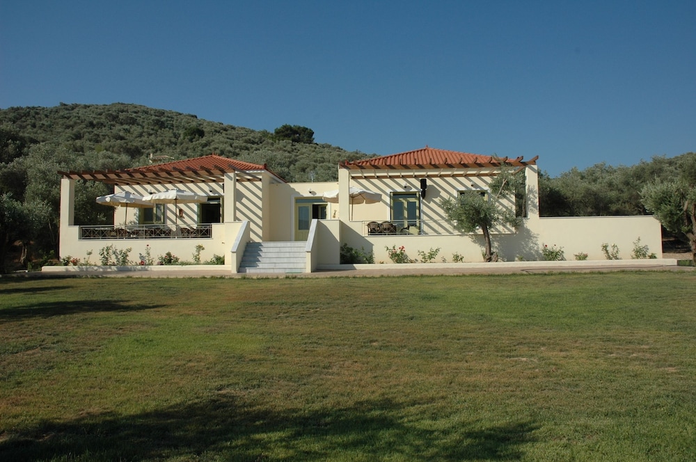 Gera's Olive Grove 38/50