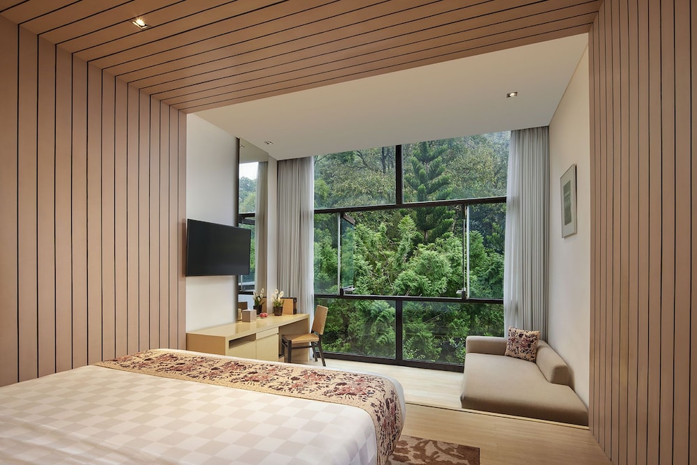 Studio, King Bed, Hill Side