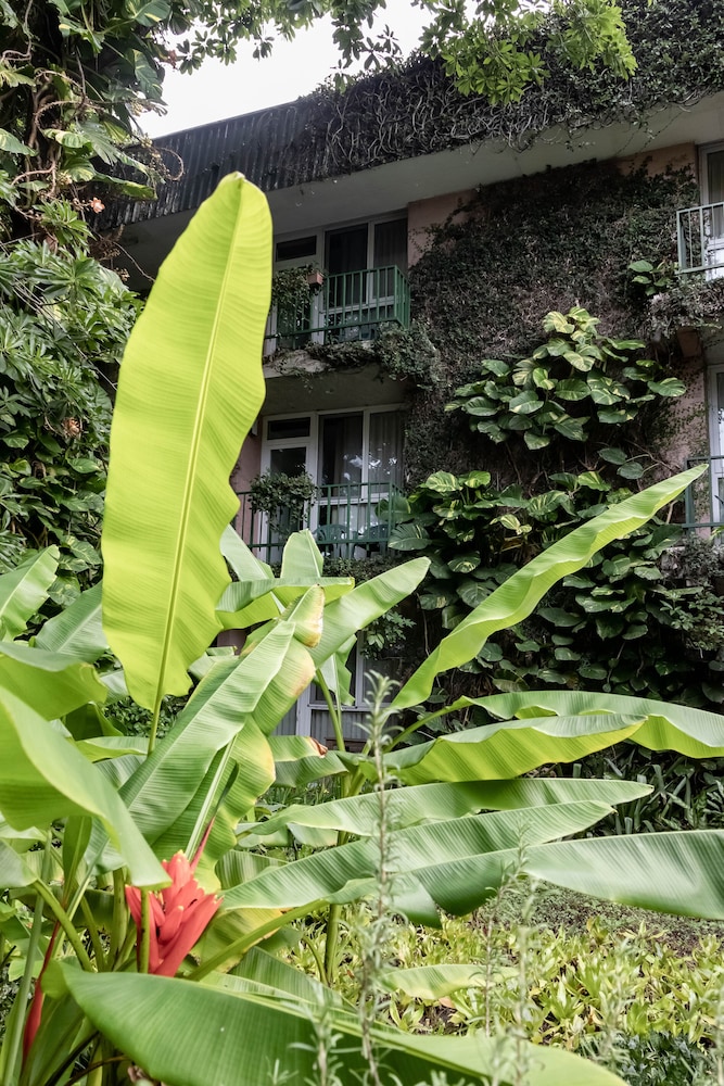 Novo Hotel & Suite 49/59