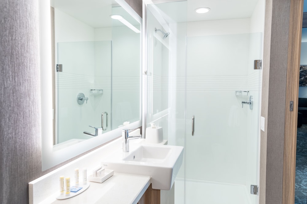 Springhill Suites By Marriott Kansas City Lenexa City Center 8/32