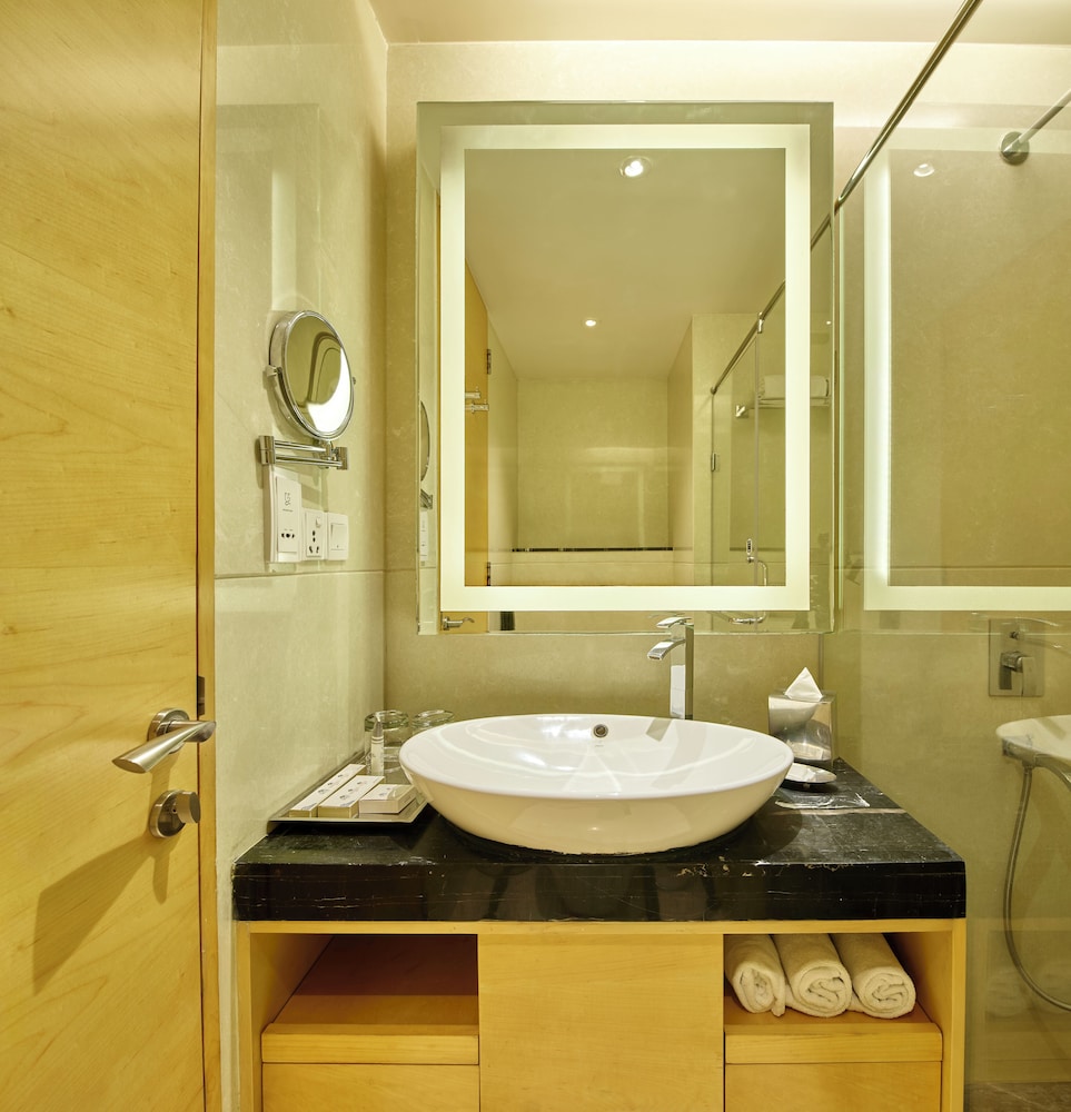 Hotel Sayaji Raipur 72/73