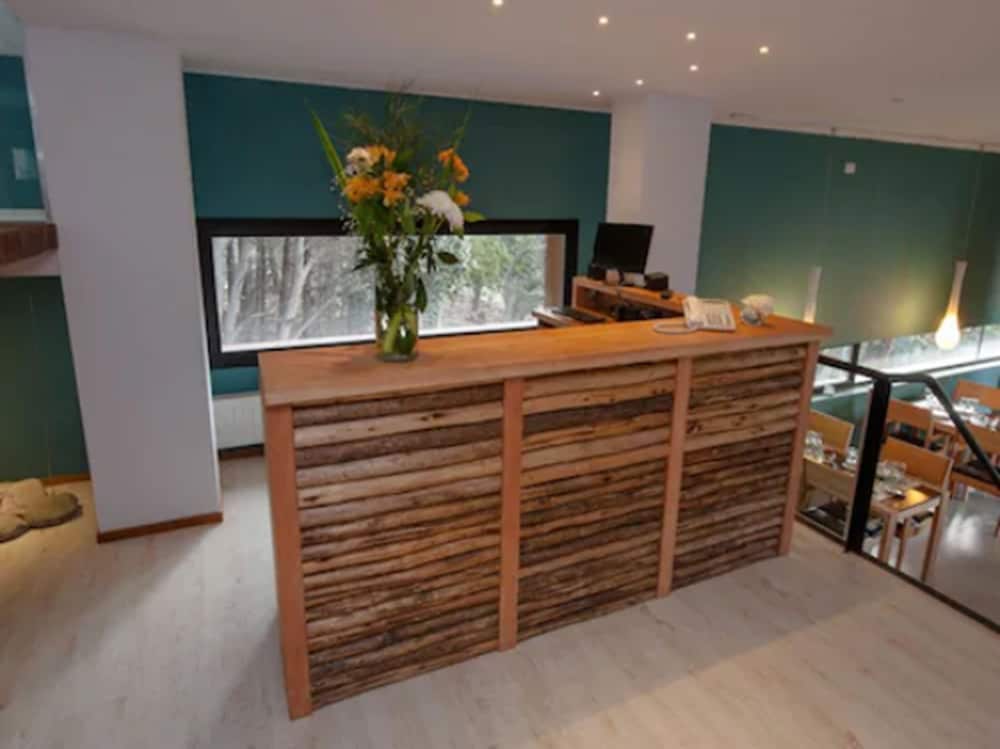 Hotel Alto Traful 6/48