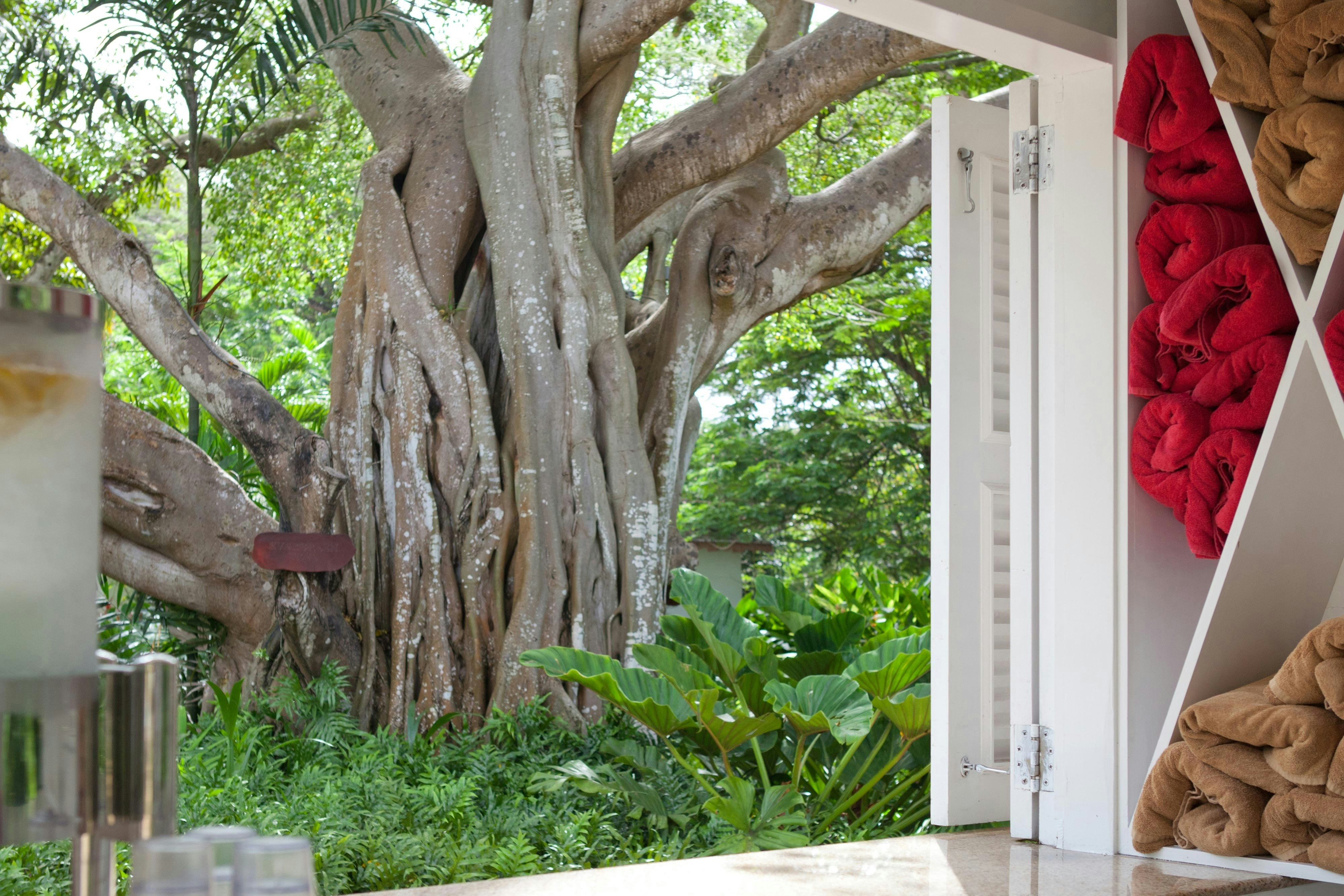 Colony Club, a Luxury Collection Resort, Barbados 16/18