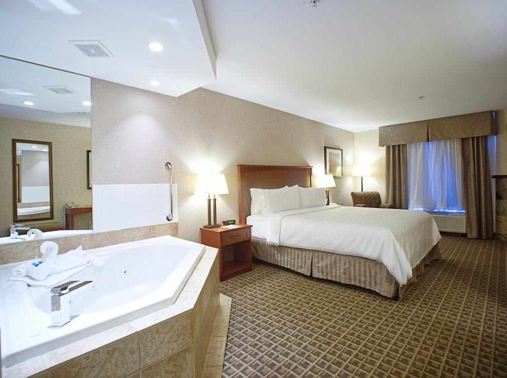 Holiday Inn Express And Suites Edmonton North 37/75