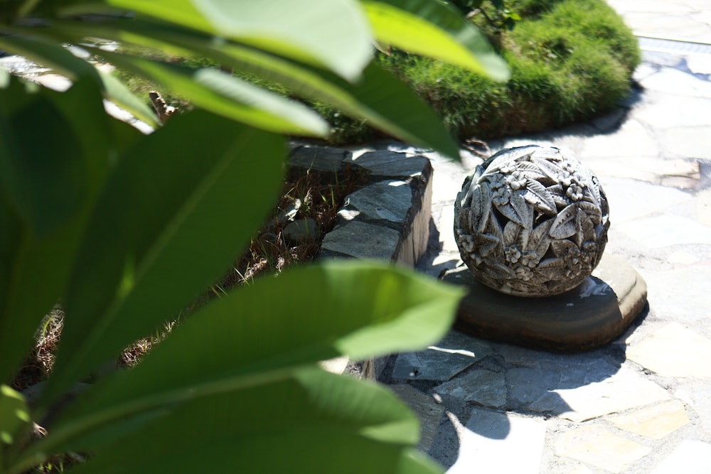 The Mudan Hot Springs Resorts and Villa 43/45