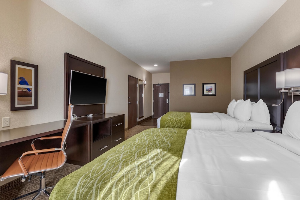 Comfort Inn & Suites Cedar Rapids Cid Eastern Iowa Airport 13/44