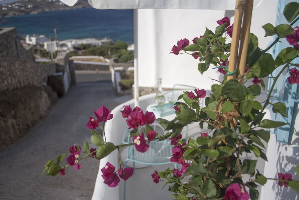 Mykonos Moussa Suites 4/50