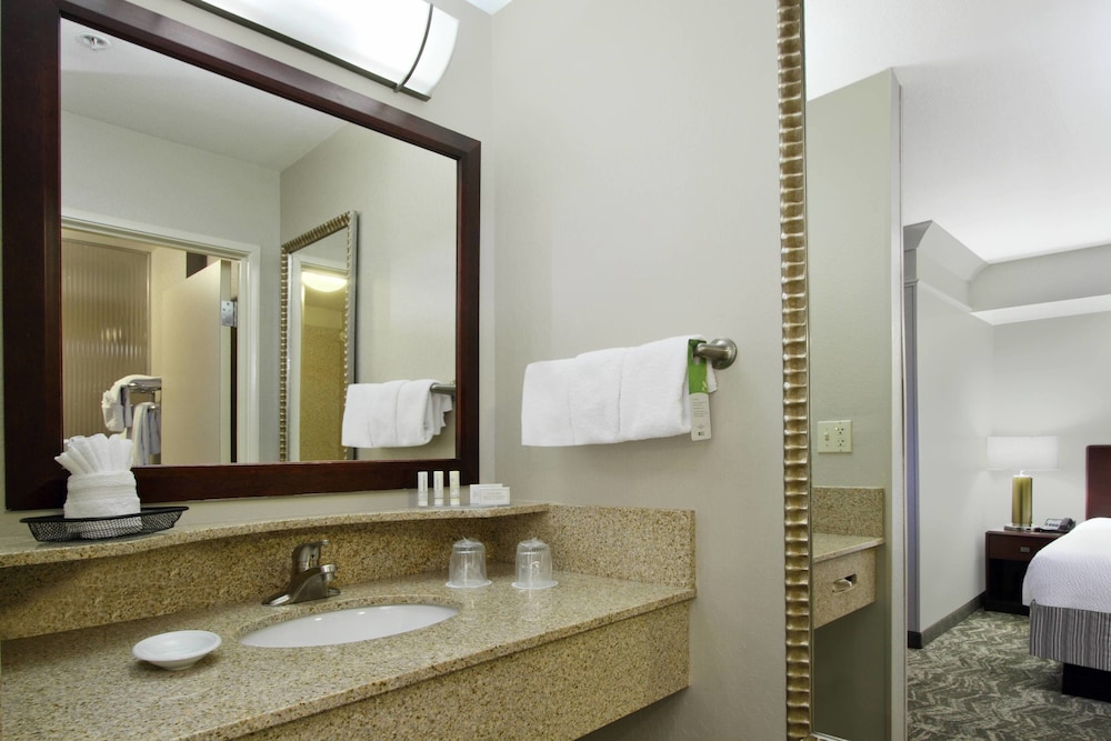 Springhill Suites Phoenix Glendale Sports And Entertainment District 15/36