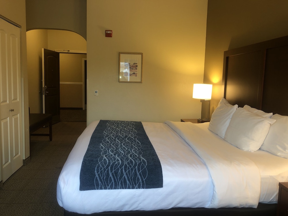 Comfort Inn & Suites Ukiah Mendocino County 10/34