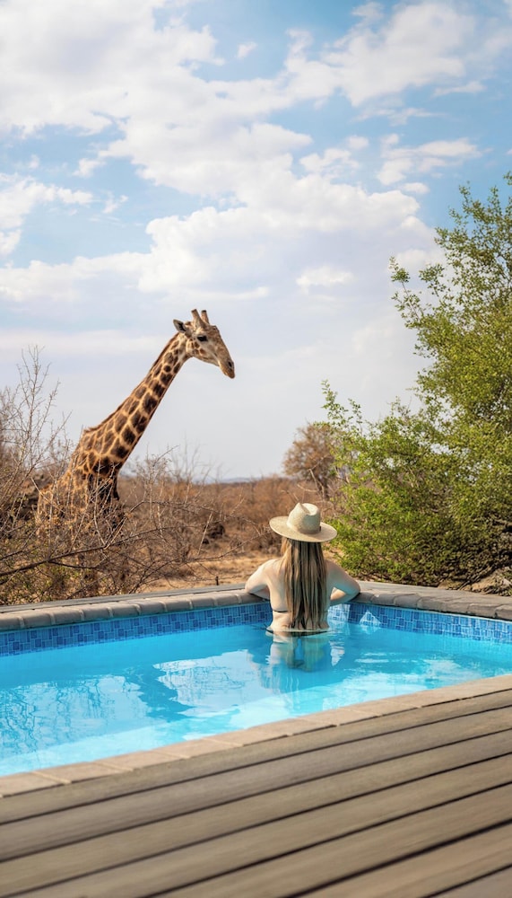 Tuningi Safari Lodge 45/50