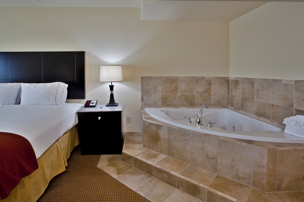 Holiday Inn Express and Suites Orlando - International Drive 36/79