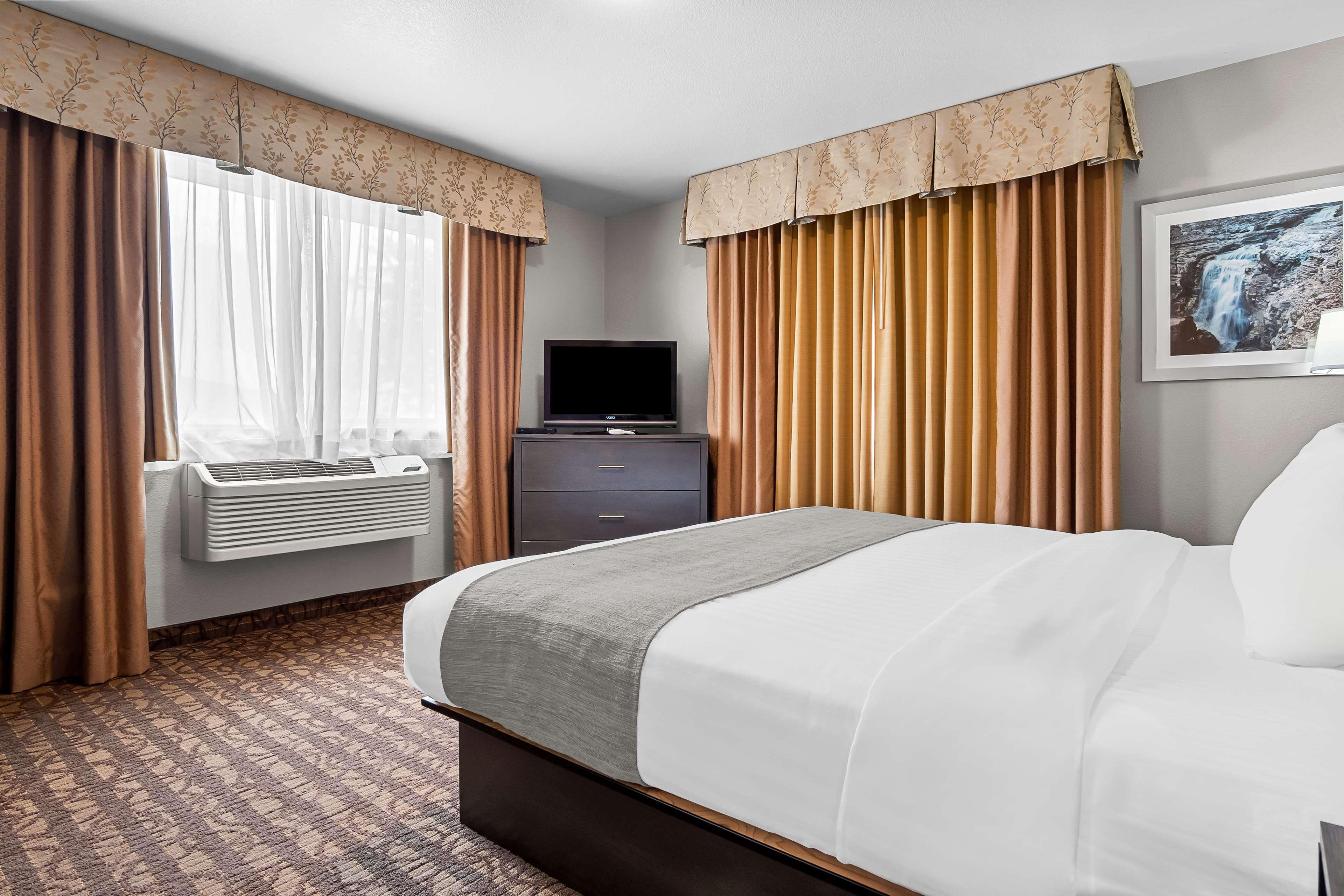 Suite, 2 Beds